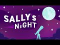 view What Is Sally&apos;s Night? digital asset number 1