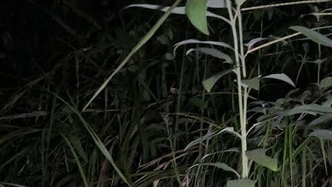 Live misteri Malam Ini‼️SEMOGA MISI MALAM INI BERHASIL