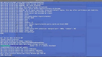 ViPR 2.1 & Docker Registry