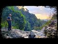 Surviving the Jungles of Thailand 🇹🇭 Sa Nang Manora Forest of Phang Nga