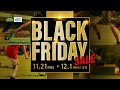 スポーツデポ・アルペン　ブラックフライデーセール