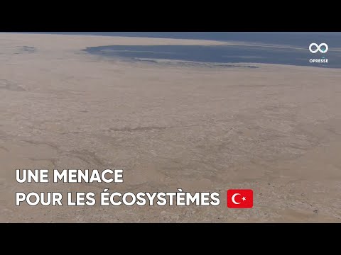 Vidéo: Mer De Marmara: Où C'est, Histoire Et Température