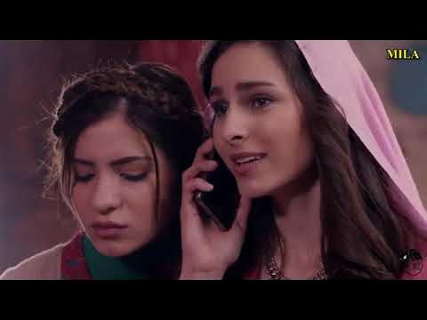 Жалаңаш Ниве Цельсий Жалаңаш Ниве Цельсий