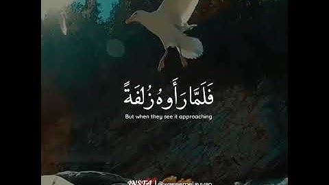 اسلام صبحي سورة الملك آية (٢٦-٢٨)