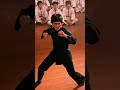 Bruce Lee’s Jeet Kune Do Power Lesson | Sora AI