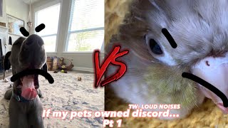 If my pets owned discord...