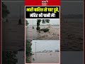 Dindori Heavy Rain : भारी बारिश से घाट डूबे, मंदिर भी पानी में | Viral Video