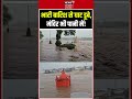 Dindori Heavy Rain : भारी बारिश से घाट डूबे, मंदिर भी पानी में | Viral Video