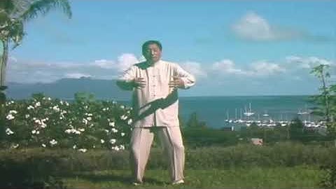 YINYANG Class - Qi Gong -  Standing like a tree