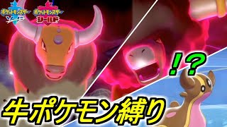 牛縛り 草食とのコンボでガチ強い 牛ポケモンptが強すぎるやばい ポケモン剣盾 Youtube