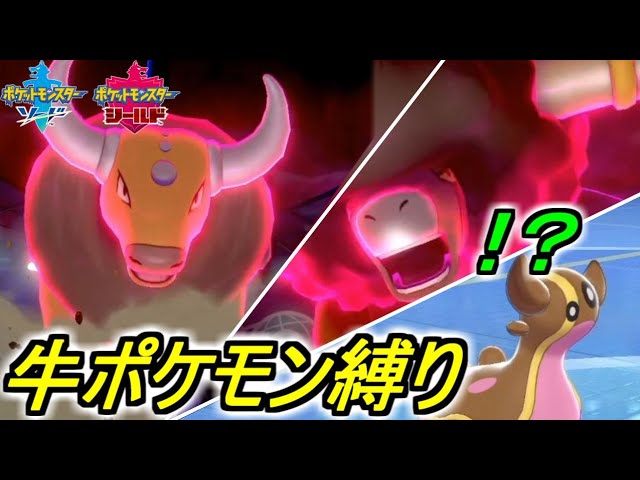 牛縛り 草食とのコンボでガチ強い 牛ポケモンptが強すぎるやばい ポケモン剣盾 Youtube