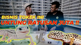 MENGGIURKAN !! BISNIS TOKEK PAKISTAN BIKIN NGILER..