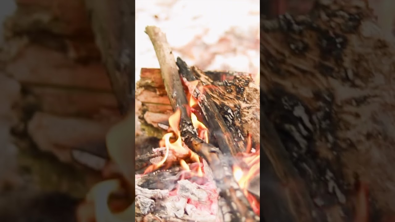 The map is drawn, the compass points true—past rugged trails and distant shores lies the treasure.