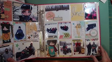 Project Life Process January 2017