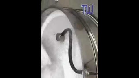 Rotary ultrasonic vibrating screen for food and chemical industry