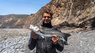 Lure fishing and spearing for BIG bass in Portugal