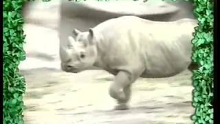 #5 - Developing Conversational Skills and Vocabulary by Love And Learning