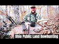 PUBLIC LAND BOWHUNTING|Ohio|Traditional Bowhunting|The Stickboys