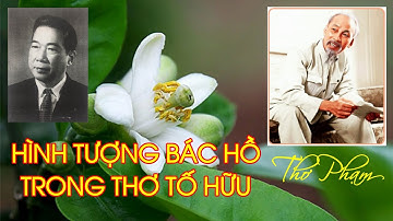HÌNH TƯỢNG BÁC HỒ trong thơ TỐ HỮU | THƠ PHẠM