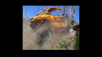 RZR or X3? Who does it best?  #polarisrzr #rzrxp1000