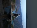 #cinematic #travel #roadtrip #adventure #outdoors #solo #alone #camping