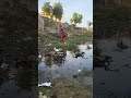 kano,gidanmu