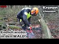 Der Wald ruft! | Brennholz sägen mit Hindernissen | Husqvarna 135 | Solo 636 | Motorsäge | Mr. Moto