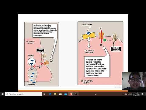 OPIOID PADA MANAGEMENT NYERI