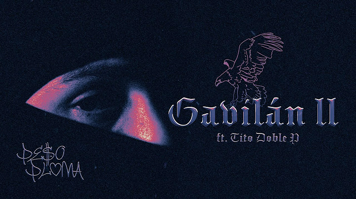 GAVILÁN II (Visualizer) - Peso Pluma, Tito Double P