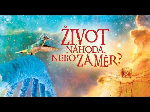 Video: Je to náhoda nebo náhoda?