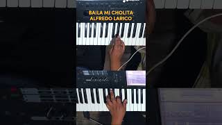 Baila Mi Cholita Alfredo Larico #Bailamicholita #Alfredolarico #Musichuayotuma