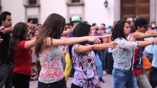 Flashmob Proposal Querétaro 