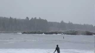 Orcas with Surfers