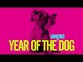 YEAR OF THE DANCING DOG (Ultimate Dancing Dog Compilation) [2018]