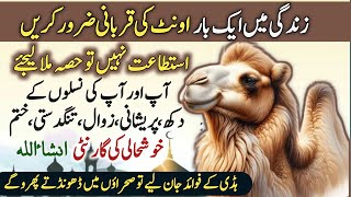 Ont 🐫 (Camel) Ki Qurbani  Zindagi Mein Aik Bar Zaroor karein  | Eid ul adha pr camel qurbani 2024