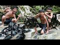 Primitive Technology - See Duck At Waterful & Cooking - Eating Delicious