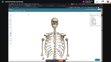 OpenStax Adaptive powered by LRNR (Custom Matching Activities with 3D Body Images and MyBank)