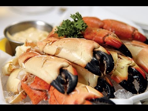 Stone Crabs and Key Lime Pie: Florida Keys Food Adventure | Strictly Dumpling