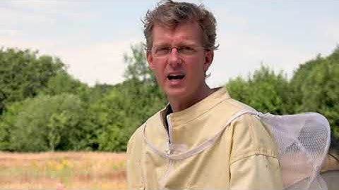 The BEEP base: Automatic bee hive monitor