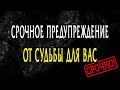 СРОЧНОЕ ПОСЛАНИЕ ОТ ВЫСШИХ СИЛ! О ЧЕМ ХОТЯТ ПРЕДУПРЕДИТЬ?  Гадание онлайн Таро расклад