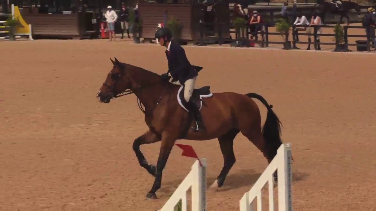 Dominic Gibbs - "Capitaine de Flobecq" USET 2*, Tryon International Equestrian Center, June 2020
