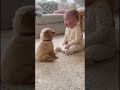 Cutest Baby And Puppy 