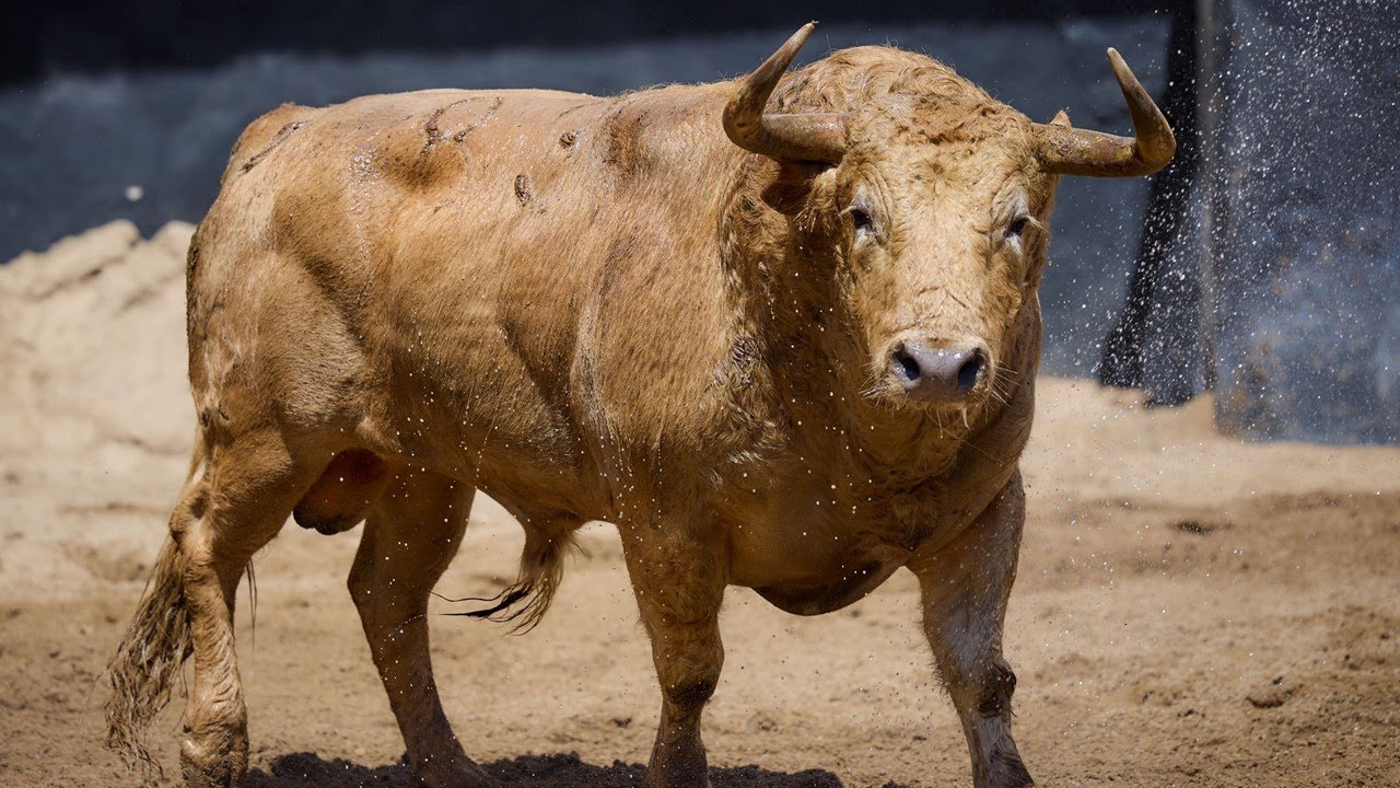 SEVILLA 2025 -7ma de abono | Toros de Jandilla-Vegahermosa para Castella, Manzanares y Borja Jiménez