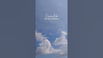 تلاوة من سورة آل عمران🩵بصوت#عبدالرحمن_مسعد