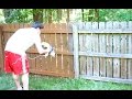 Flexio 590 Review Wagner Paint Sprayer DIY Fence Painting Exterior Flexio 590 Review Wagner Paint Sprayer DIY Fence Painting Exterior