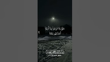 #نايف_الجاسر #اكسبلور #المصحف #لايك #قرآن #حالات_واتس #راحة_نفسية #تلاوة_خاشعة #quran #explore