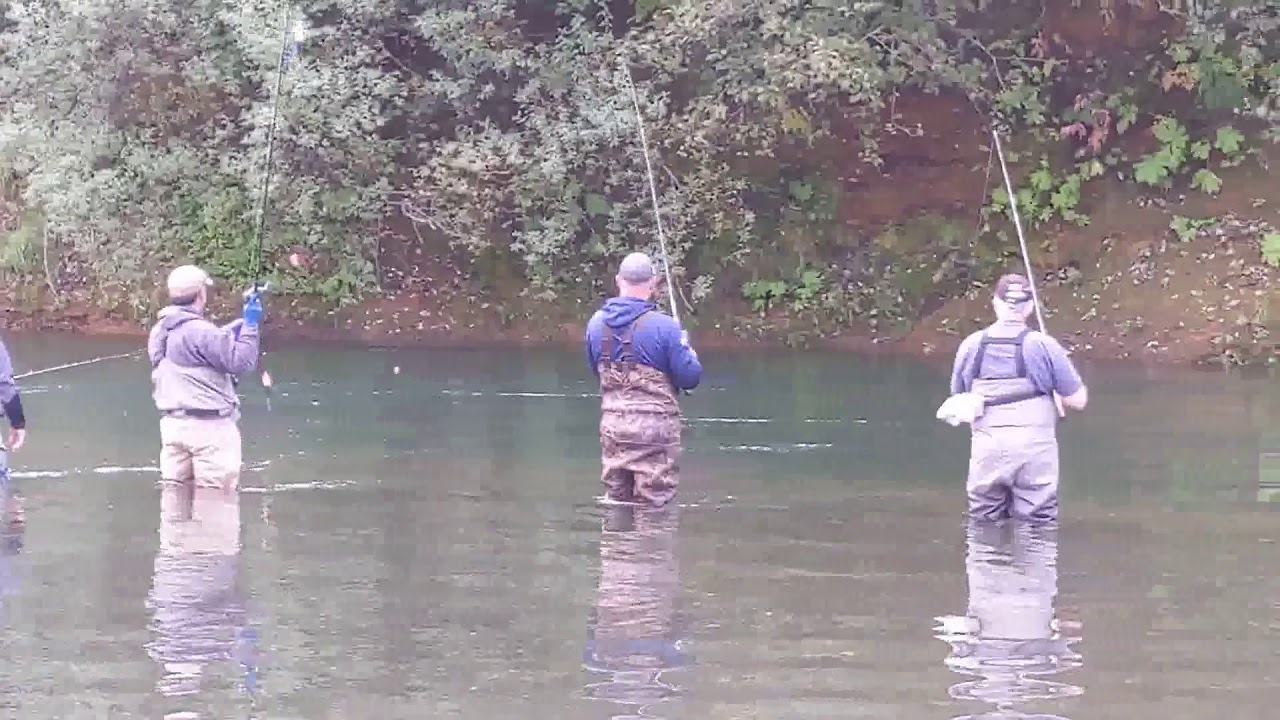 Salmon fishing on the Humptullips River