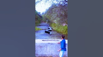 Anaconda Snake Chasing Boy video 🐍 #Shorts #vfxworld #anaconda #snake