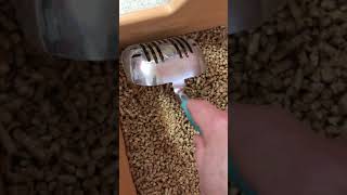 EcoPellet™ Litter Box Demonstration