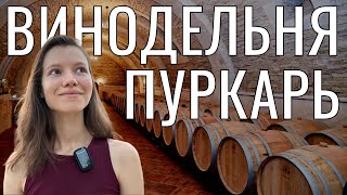 Старейшая винодельня Пуркарь в Молдове: производство вина, факты и цены. Стоит ли ехать?